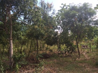 Danvers Pen, St. Thomas, Jamaica - Residential lot for Sale